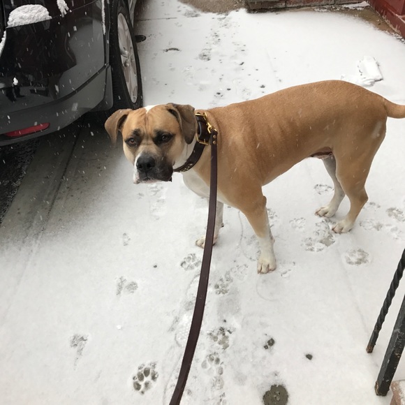 Your Posher, Kelly (with assistance of Ali & Skyn) - Picture 5 of 6